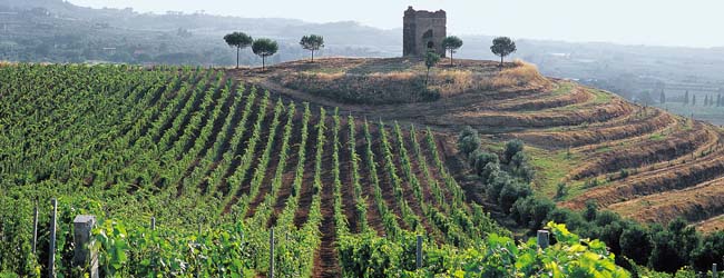 Castelli Romani panorama