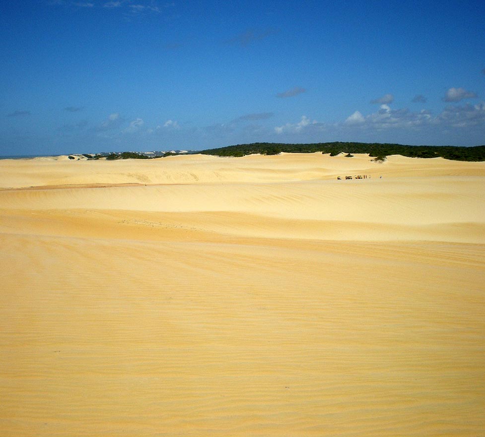 Natal Sand Dunes